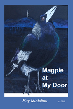 magpie kindle coversml sml
